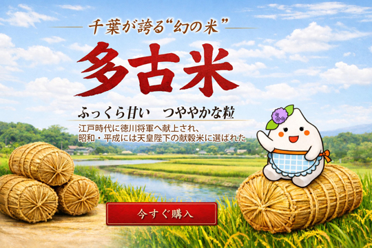 ���Õ�TOP�C���[�W